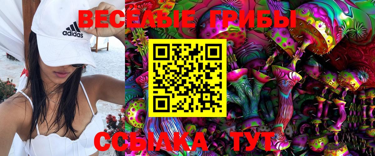 Бийск  Галлюциногенные грибы Psilocybe  Вход с VPN 