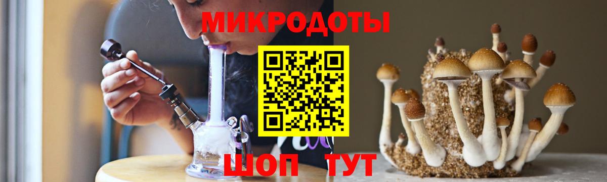 Псилоцибиновые грибы Cubensis Бийск
